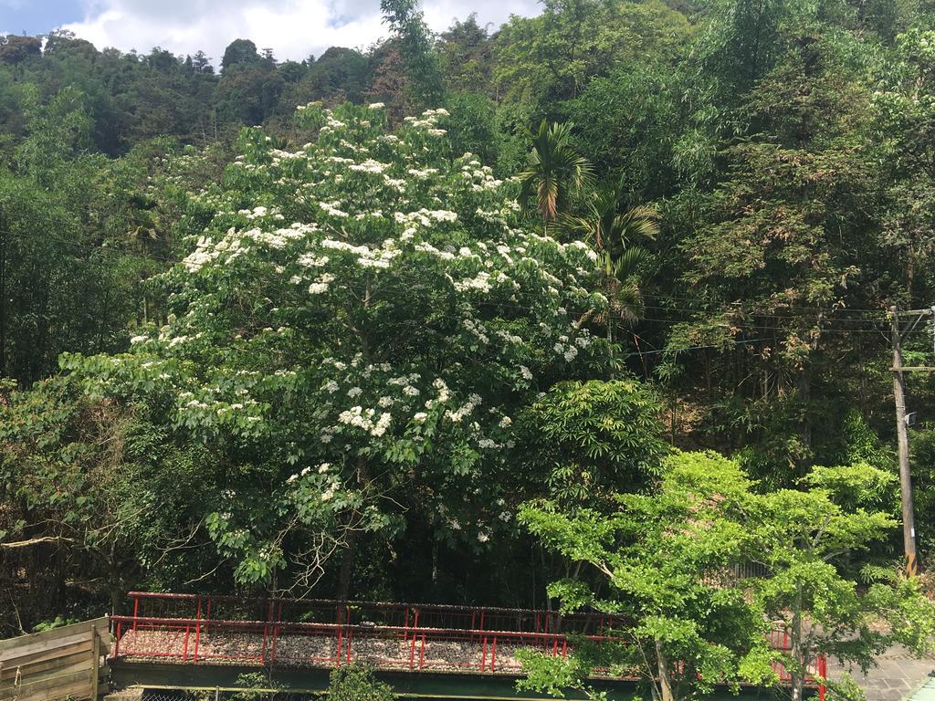 Dingdai Cherry Blossoms Resort Nantou Extérieur photo